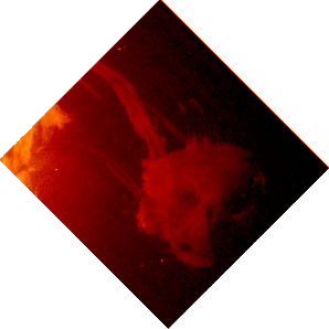 http://www.montalk.net/sundemon.gif